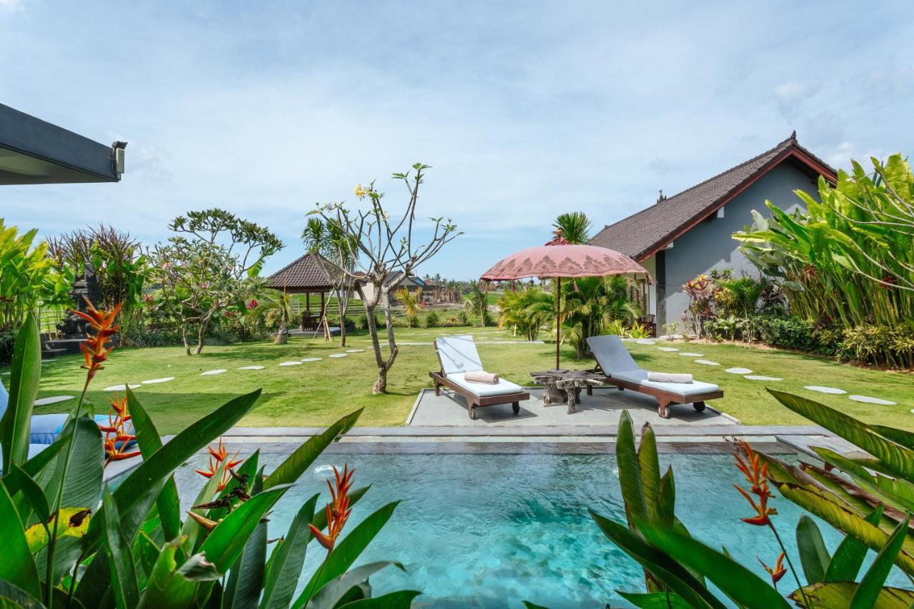 Carik Bali Guest House Canggu المظهر الخارجي الصورة